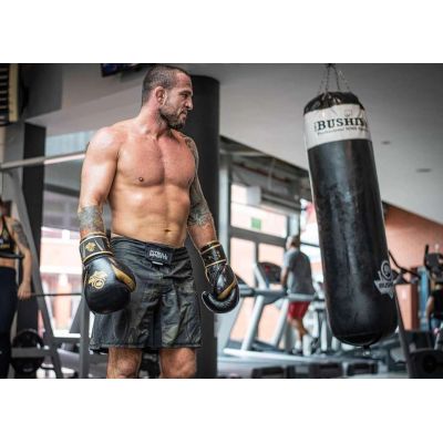 18. 10oz Boxing Gloves - Aureos - Valor Series