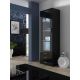 2. SOHO S1 display cabinet black/gloss black
