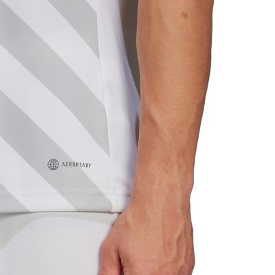 12. adidas Entrada 22 Graphic Jersey M HF0129