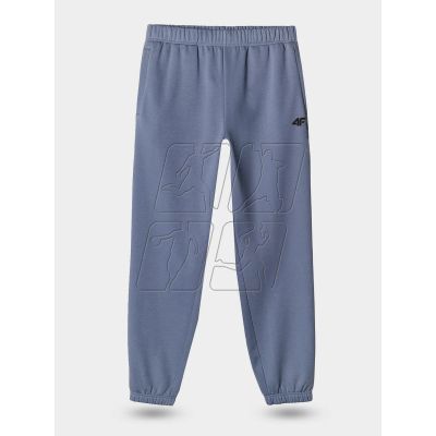 6. Sweatpants 4F M 4FWAW24TTROM1263-32S