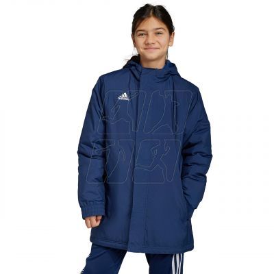 2. Adidas Entrada 22 Stadium Jr IB6079 jacket