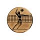 3. Bronze Aluminium Insert – Men’s Volleyball