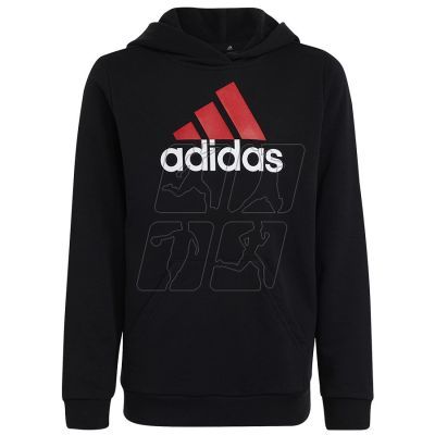 Sweatshirt adidas Big Logo 2 Hoody Jr. HR6370