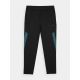 Trousers 4F M 4FWSS24TFTRM453-20S