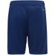 2. Shorts adidas Tiro 23 League Training Jr HS0321
