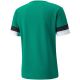 6. Puma teamRise Jersey M 704932 05