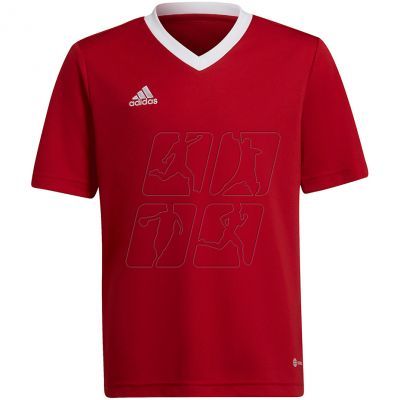 T-shirt adidas Entrada 22 Jsy Jr H57496