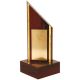 9. Plastic trophy