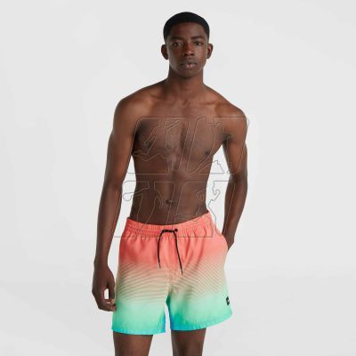 3. O&#39;Neill Jack Cali Gradient 15&#39;&#39; Swim Shorts M 92800613575