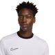 3. Nike Academy 25 SS Top M FZ9754 100