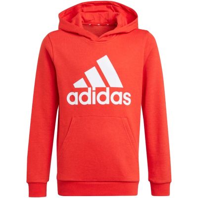 4. Adidas Essentials Big Logo Hoodie Jr GN4037 sweatshirt