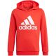 4. Adidas Essentials Big Logo Hoodie Jr GN4037