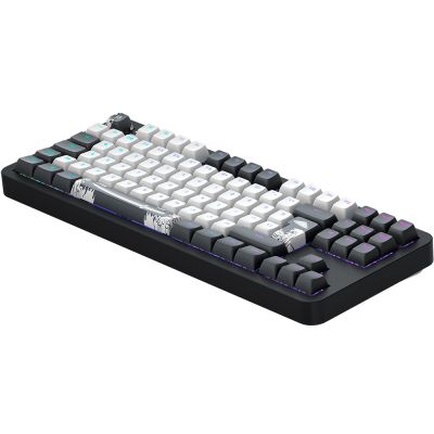 8. Dark Project DPKB_BUSHIDO_87_ISO Gaming Keyboard USB QWERTZ Danish, English, Finnish, German, Scandinavian, Norwegian, Spanish, Swedish, British English, UK International Black