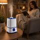 5. ESPERANZA AIR HUMIDIFIER HYDRO SPA 3.5L EHA007