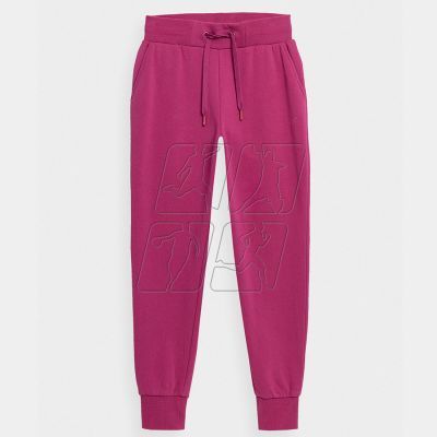 Trousers 4F W 4FSS23TTROF229 53S