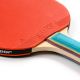 5. Meteor Zaphyr 15015 Table Tennis Racket