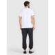 5. Men's jogger sweatpants 4F 4FRAW25TTROM1696-22S