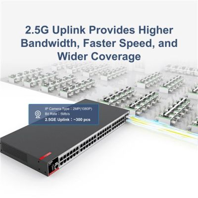 2. Ruijie L2+ Managed Switch | 48 x 1Gbit ports + 4 x 2.5Gbit SFP ports | 2 fans, 1 built-in AC power supply | Rackmount