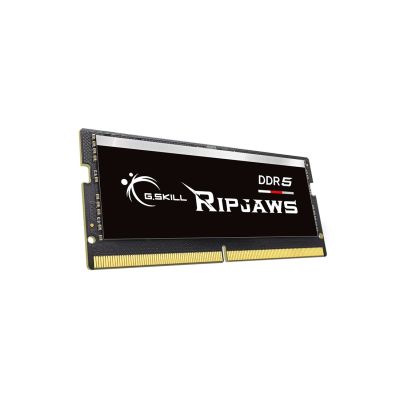 2. G.Skill Ripjaws F5-4800S4039A16GX1-RS Memory Module 16GB 1 x 16GB DDR5 262-pin SO-DIMM