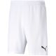 3. Puma teamRISE Shorts M 704942 03