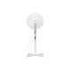 Adler AD 7305 Standing Fan