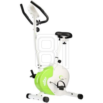 80. HMS M9239 white and green magnetic bike *
