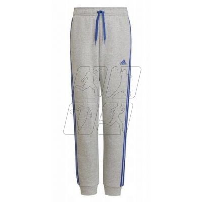 4. Adidas Trainings Jr HN6712 pants