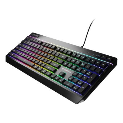 3. GENESIS Rhod 530 Gaming Keyboard USB QWERTY US English Black