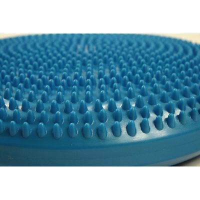 7. BB 015 Stabilizing Disc