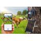 7. Dual 4G Outdoor Camera 3MP+3MP + Solar Panel Technaxx TX-329