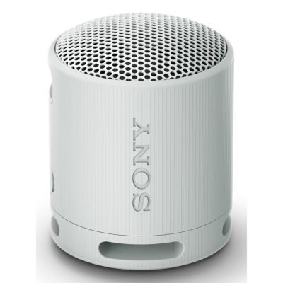 Sony SRS-XB100 Portable Mono Speaker Gray