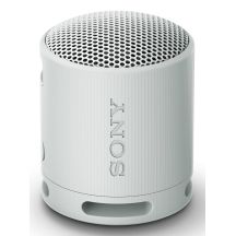 Sony SRS-XB100 Portable Mono Speaker Gray