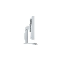 EIZO FlexScan 19 S1934H-GY LED-Monitor