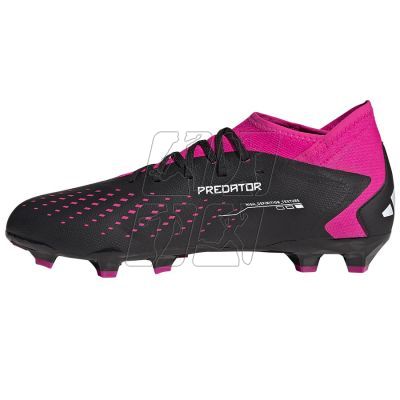 2. Adidas Predator Accuracy.3 FG LM GW4589 shoes