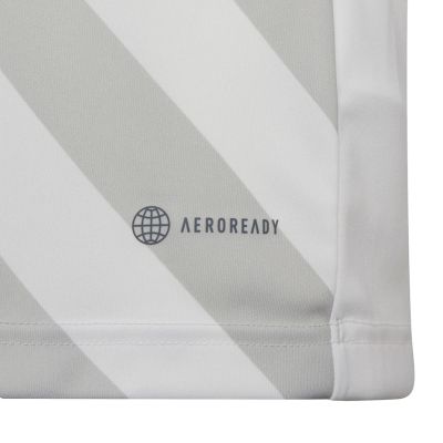 15. adidas Entrada 22 Graphic Jersey Jr HF0120