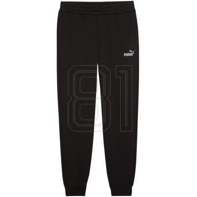 3. Puma ESS 2 Color No. 1 Logo Pants M 684713 01