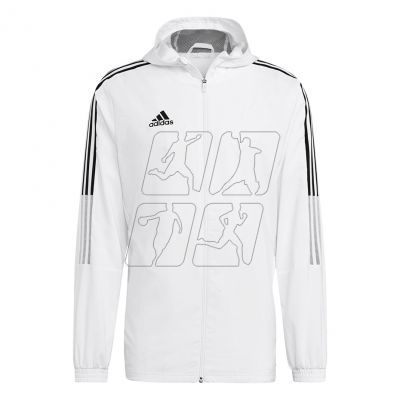 Adidas Tiro 21 Windbreaker M GP4966 sweatshirt