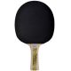 5. LEGENDS 500 FSC DONIC TABLE TENNIS RACKET