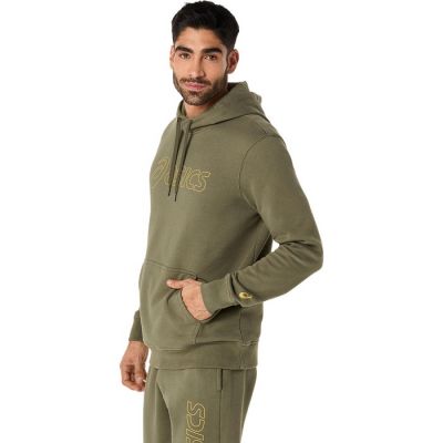 3. Asics Logo OTH Hoodie M 2031E187302