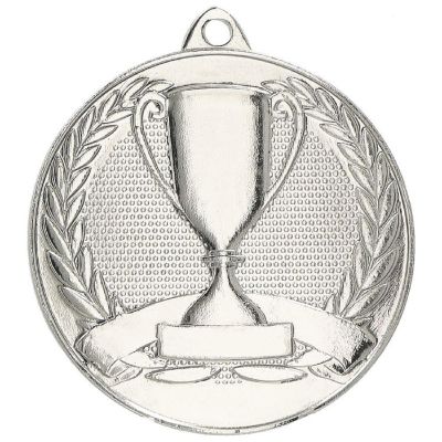 4. Overall silver medal with cup