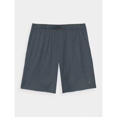 4. Men's 4F quick-drying regular training shorts 4FWAW24TFSHM697-22M