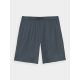 4. Men's 4F quick-drying regular training shorts 4FWAW24TFSHM697-22M
