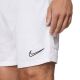 6. Nike Dri-FIT Academy M CW6107-100 Shorts