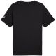 8. Puma Sport Graphic Tee M 684617 01