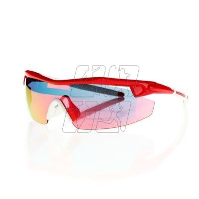 6. Goggle sunglasses E690-3