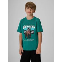 Boy's regular printed T-shirt 4F 4FJKAW26TTSHM4456-46S