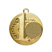 Gold Medal for First Place