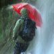8. EuroSCHIRM Birdiepal outdoor Red Fiberglass Polyamide Full Size Rain Umbrella