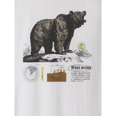 5. Men's regular printed T-shirt 4F 4FKAW26TTSHM4473-11S