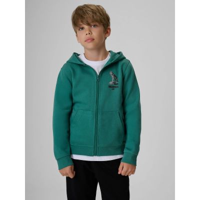 Boy's regular hooded sweatshirt 4F 4FJKAW26TSWSM3153-46S